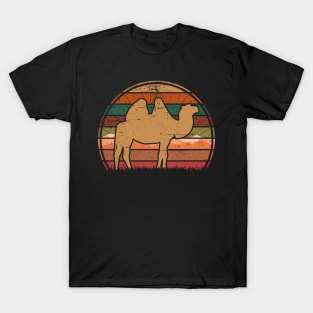 Camel Sunset T-Shirt